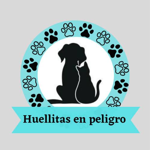 Logo Fundación Huellitas en Peligro